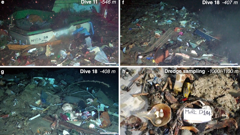 Litter from a dredge performed within the axis of the Messina Canyon at 1,100m depth [Courtesy of Nature.com]
