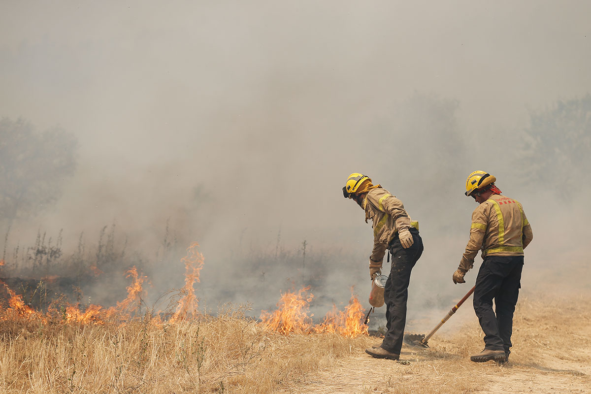 European heatwave in pictures