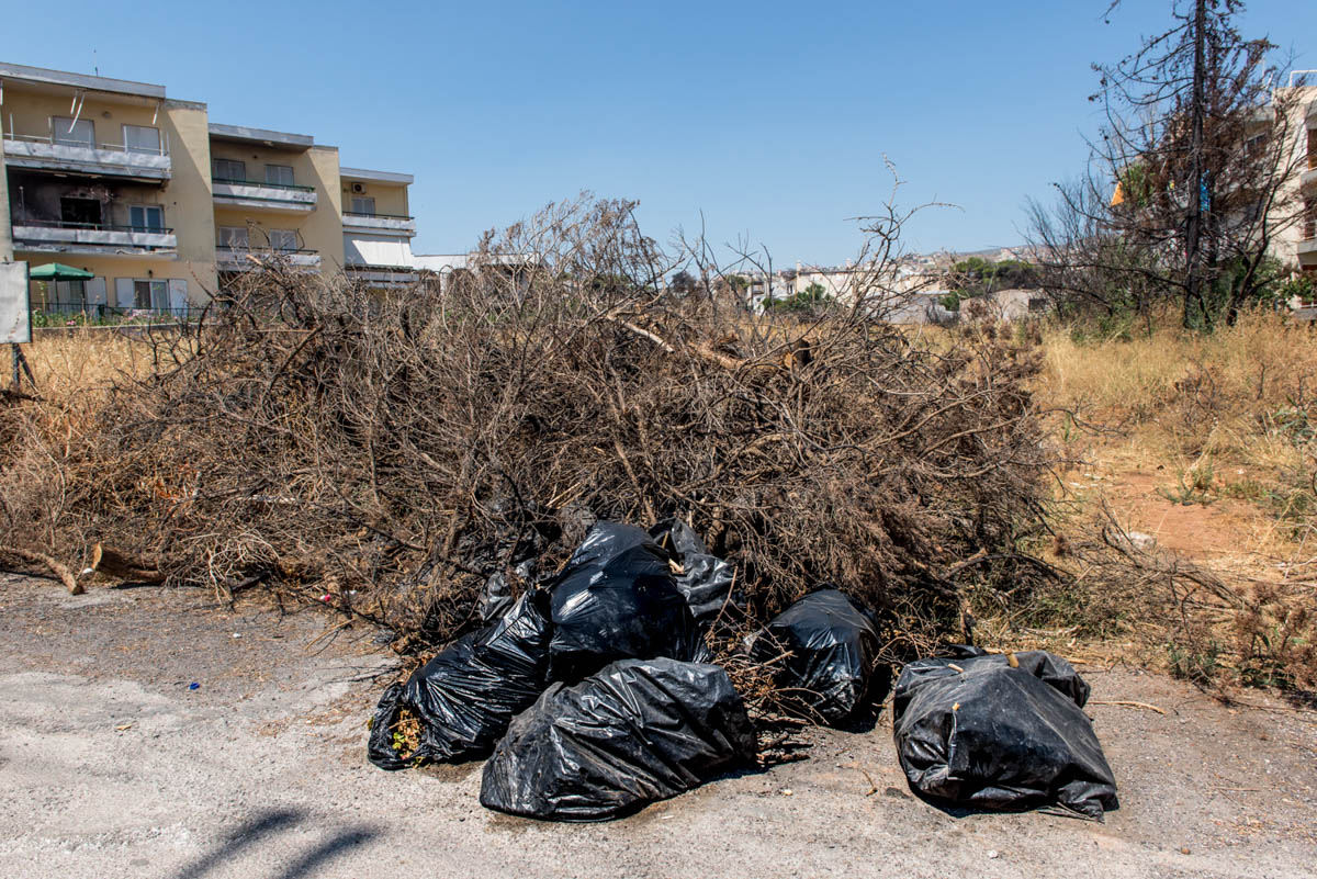 “We don’t want anything more than the simple things that all residents want from their town,” said Marios. “When it comes to the burned branches, both local authorities and residents are responsible.