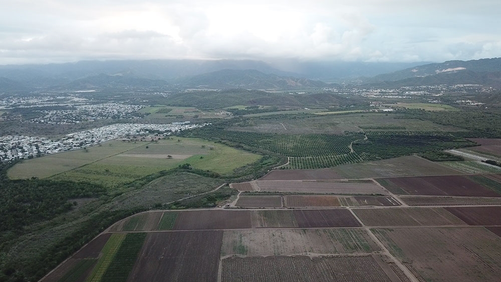 Puerto Rico - Monsanto