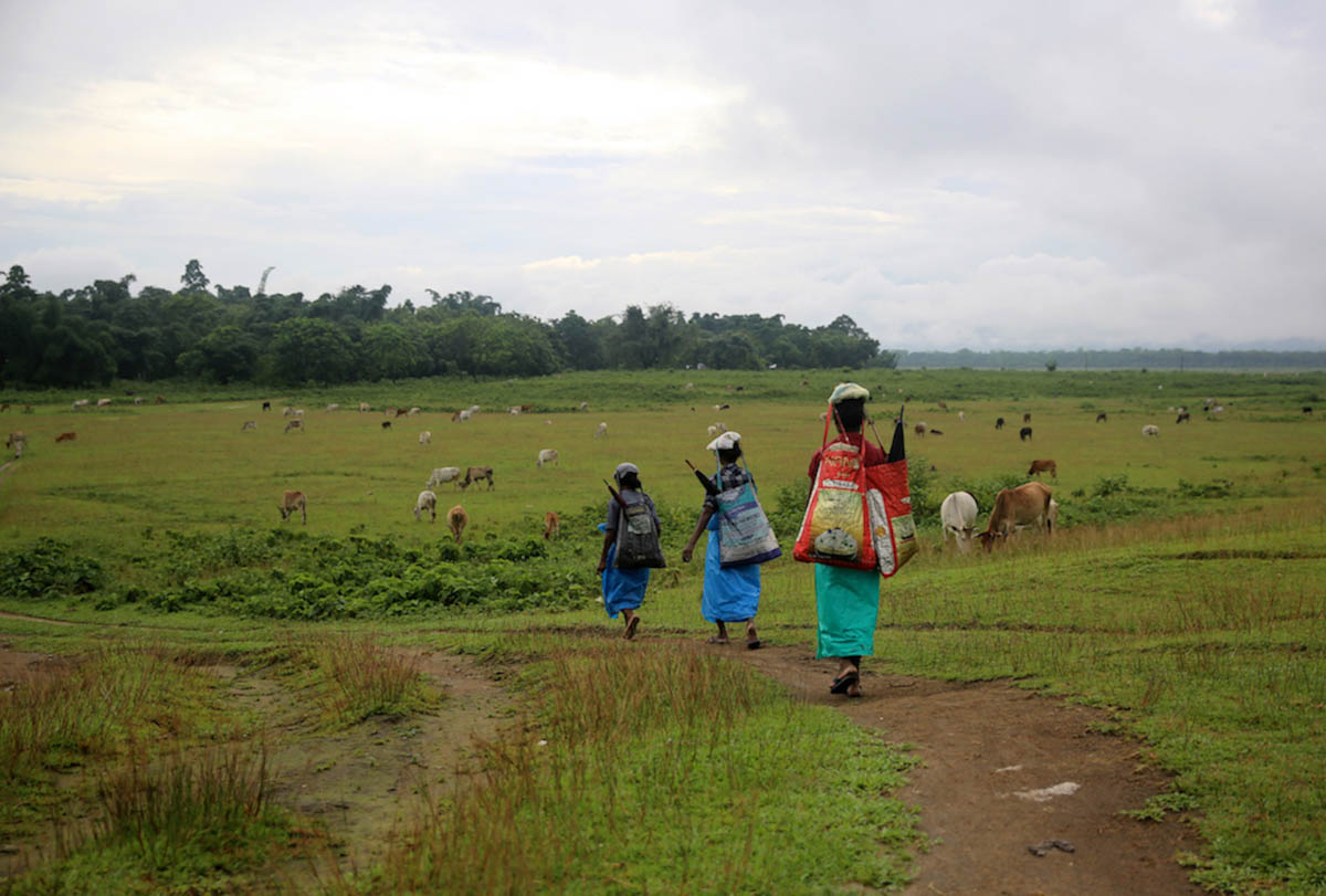 Tea farmers return home after a day’s work. While health tea garden workers receive basic healthcare facility and Rs 176 a day, farmers that work as hired laborers get much lower without any benefits.