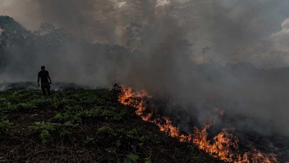 Paul Rosolie, Amazon expert in forest 2 - Nadine Cheaib story