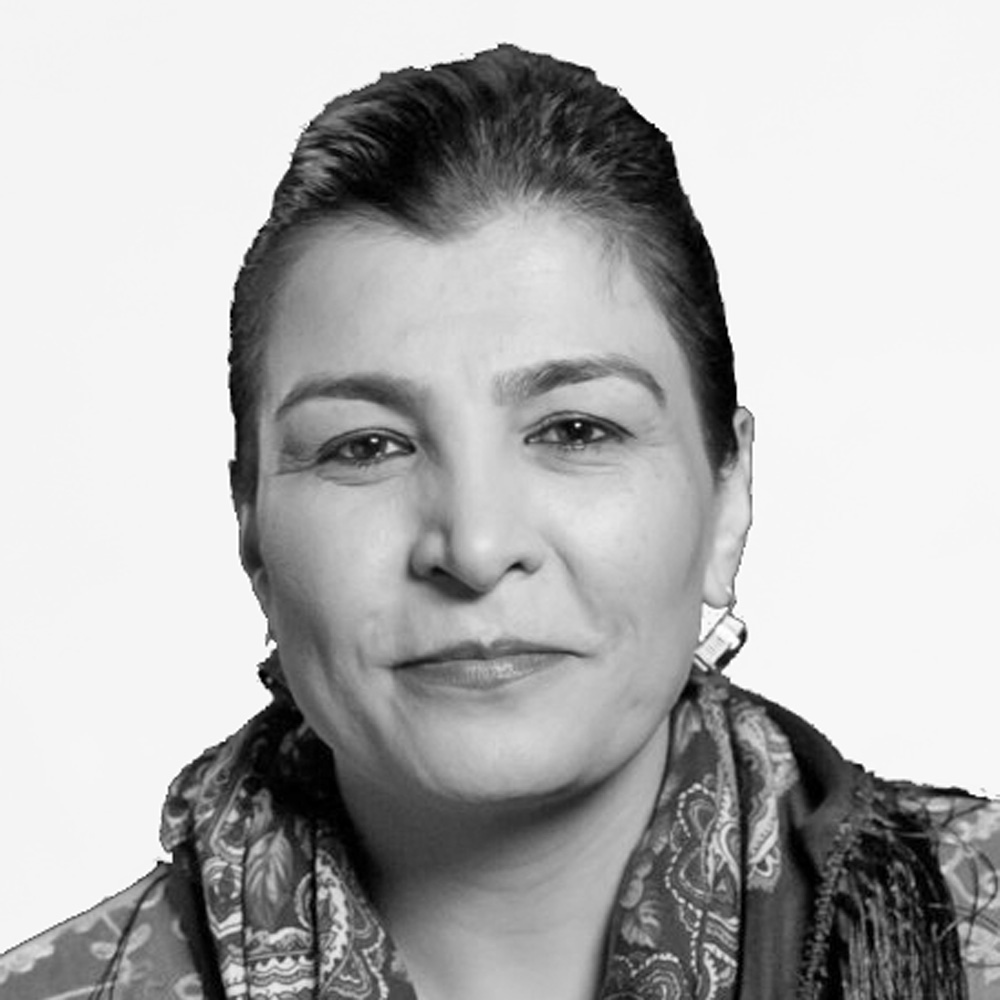 Horia Mosadiq