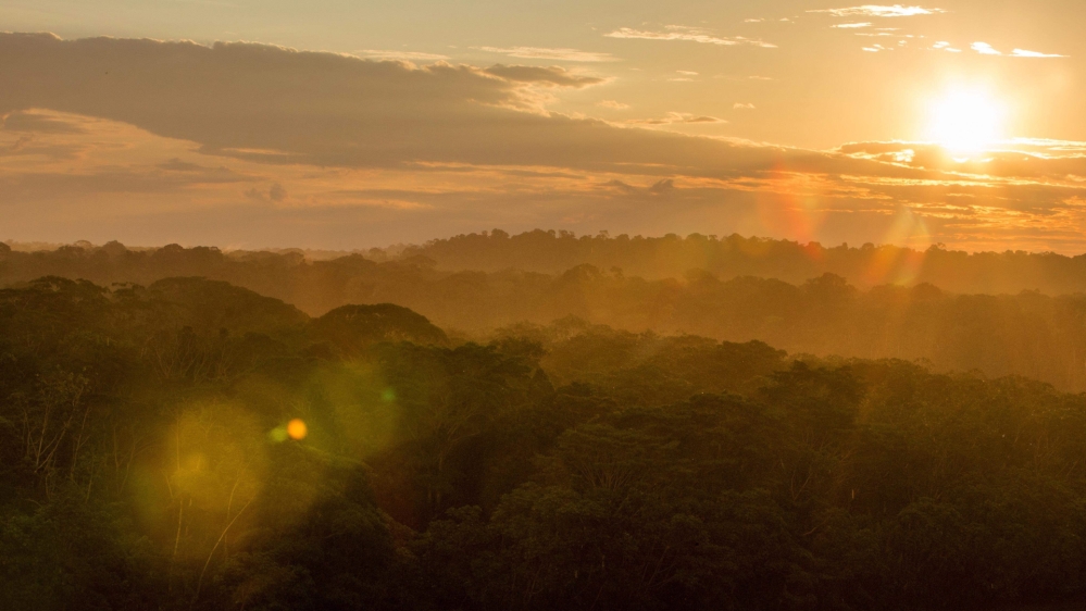 Paul Rosolie, Amazon expert - Nadine Cheaib story