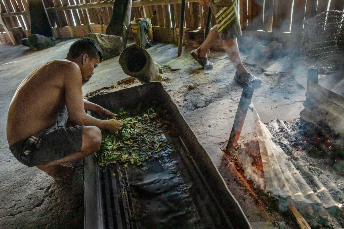 The “maloca” is our healing center. Here all the sick will be cured through our sacred plants, tobacco, sweet yucca and coca. Unfortunately, among the non-indigenous population, coca is understood as