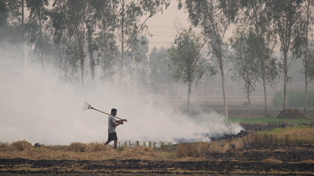 farmer burning crops 