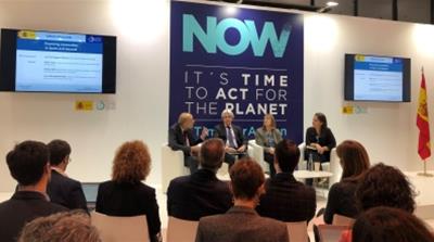 Spain's Secretary of State for Energy 