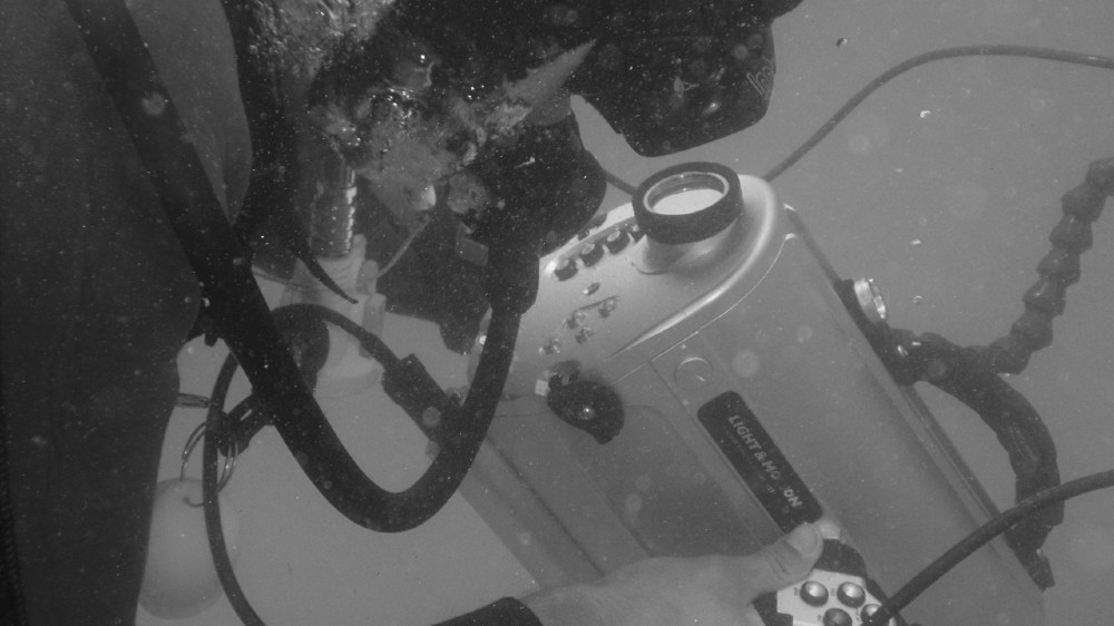 Carlos Leon - supplied