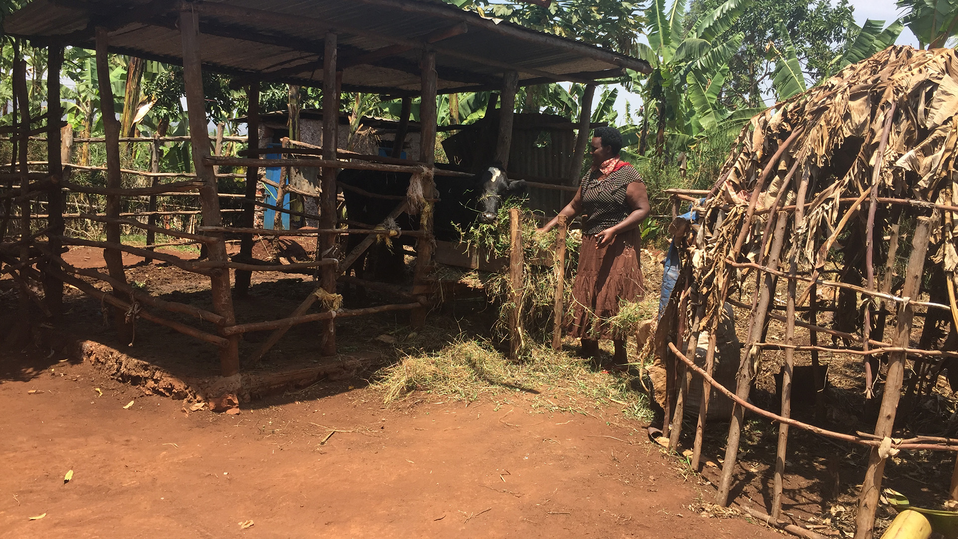 ONLY FOR FEATURE: Rwanda maternal health [Sarita Santoshini/AlJazeera]