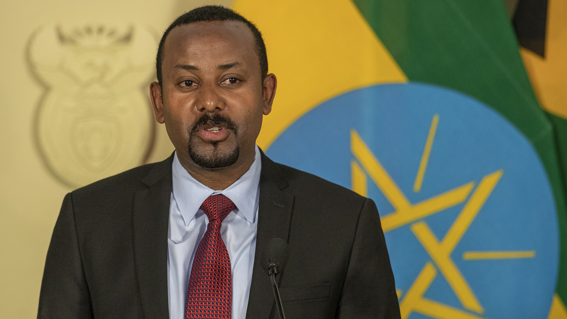 UpFront Feb 14 programmes