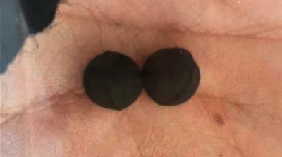 pellets Chile Protests