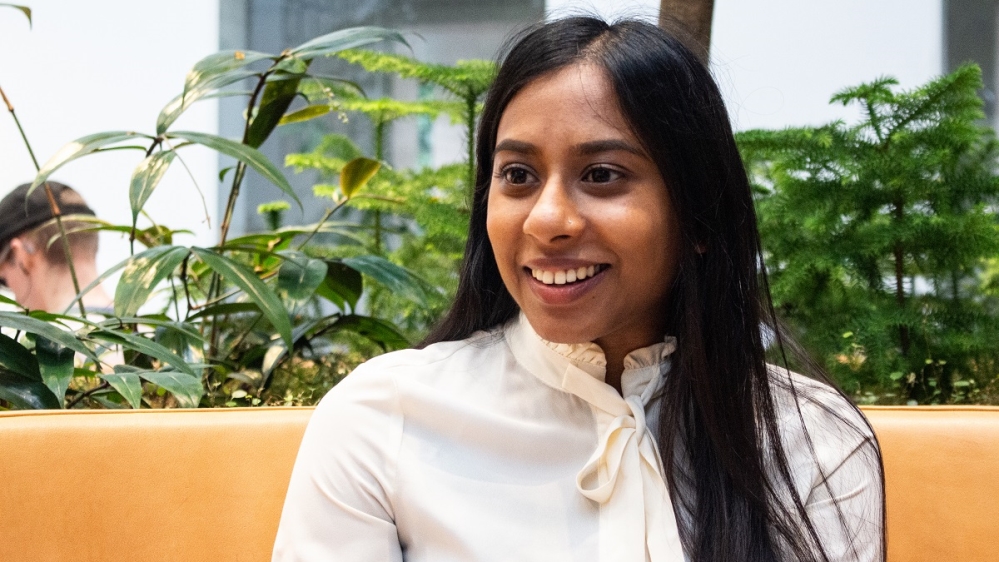 Scandinavia nationalism / Lais Martins