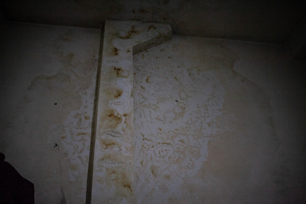 Mother and son suffer from a respiratory disease caused by mold on the walls of the house. The only window they have faces a mechanical garage, and they can''t leave the front door open for fear the po