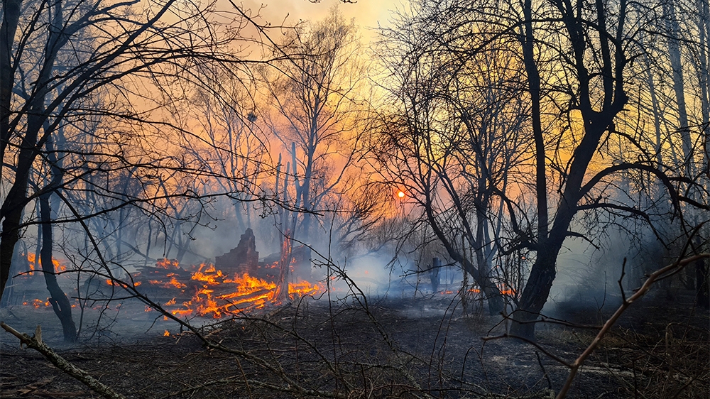 Chernobyl forest fire