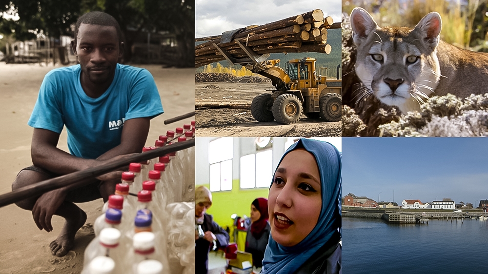 Earthrise 5 Films - composite