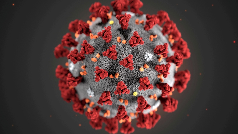 An illustration, created at the Centers for Disease Control and Prevention (CDC), depicts the 2019 Novel Coronavirus