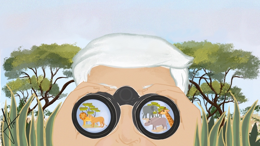 Green read 5 - Illustration