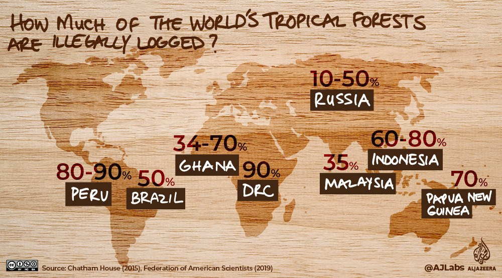 INTERACTIVE: green read - Illegal logging
