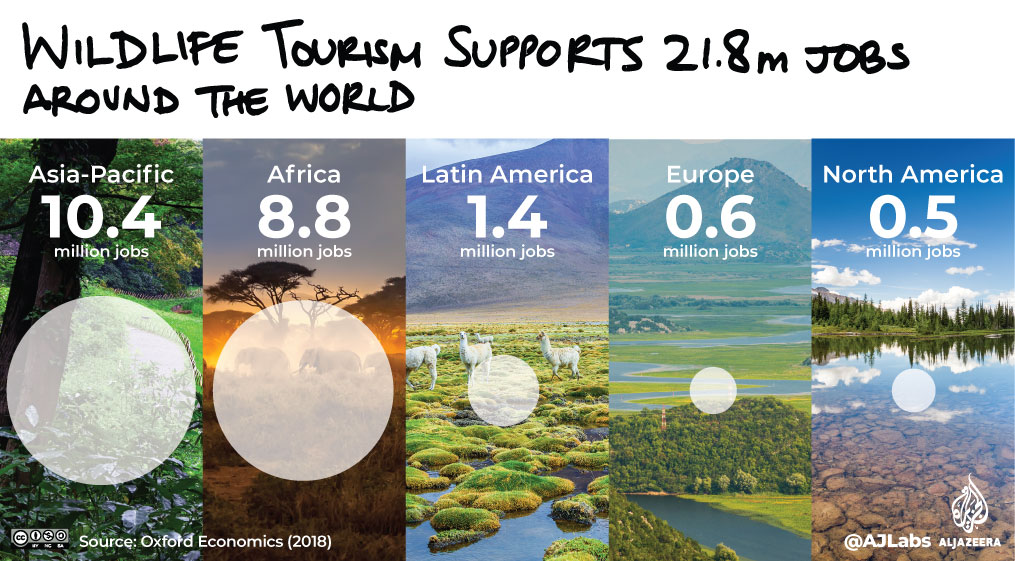 Interactive: Green Read - wildlife tourism