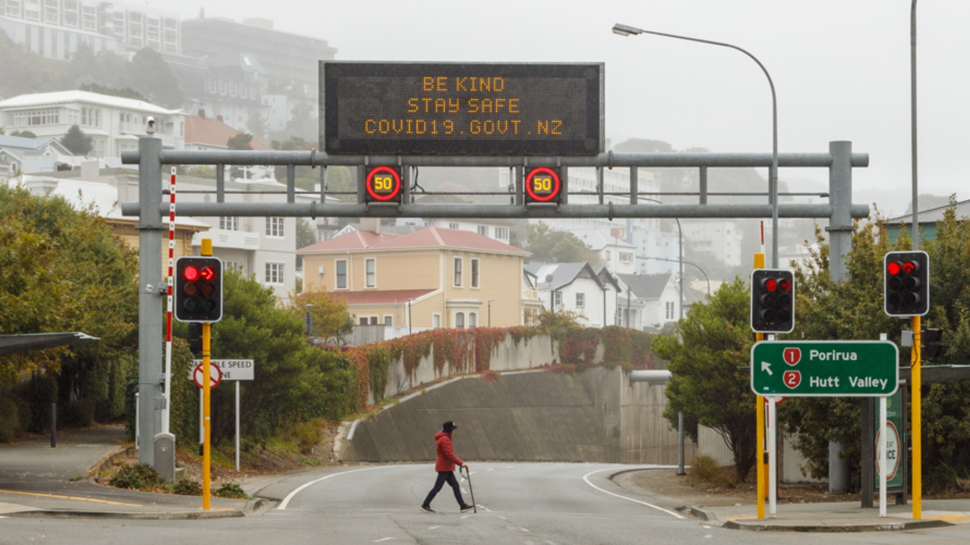 Ethan Donnell - coronavirus New Zealand