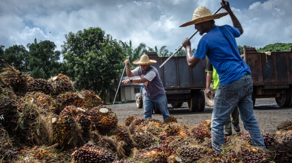 Malaysia palm oil