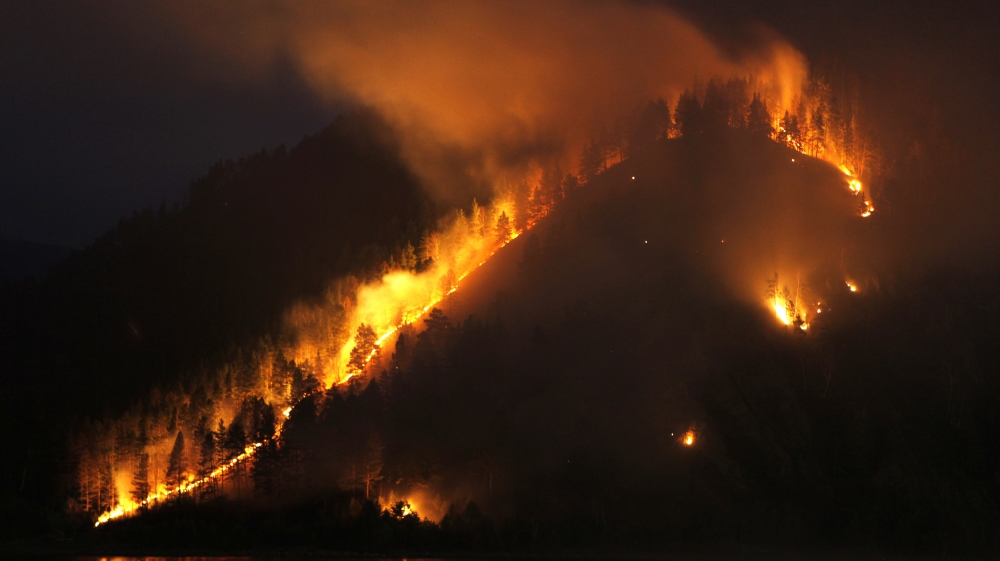 Dry grass, bushes and trees burn on the bank of the Yenisei River in Taiga district