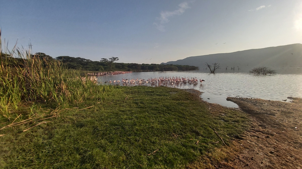 aerial pics of Lake Baringo
