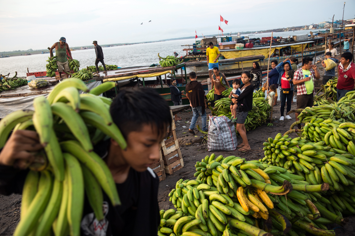 A Shipibo Indigenous youth lugs a stalk of bananas at the port in Pucallpa, in Peru’s Ucayali region, Tuesday, Sept. 1, 2020, amid the new coronavirus pandemic. Pucallpa’s bustling port where wood, ba