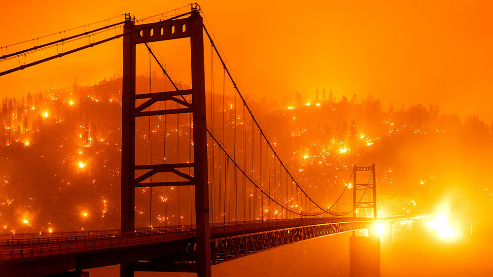 California wildfireBridge