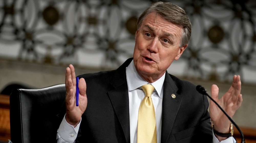 DAvid perdue