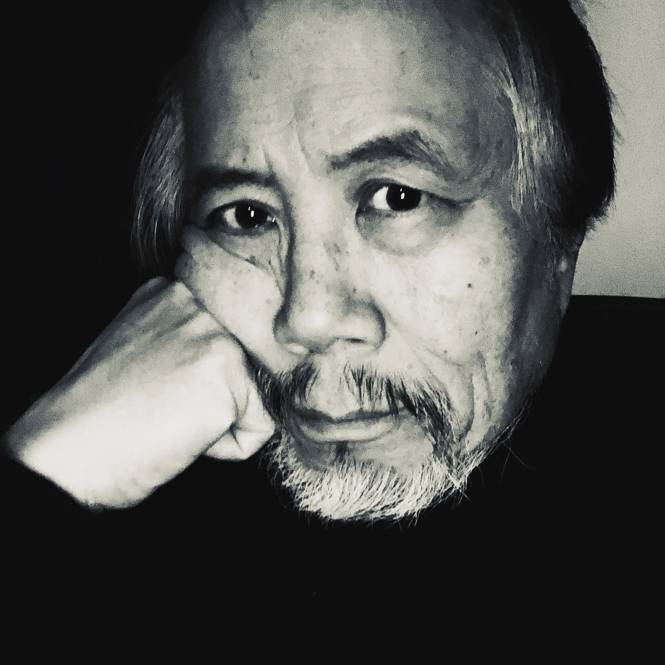 David Palumbo-Liu