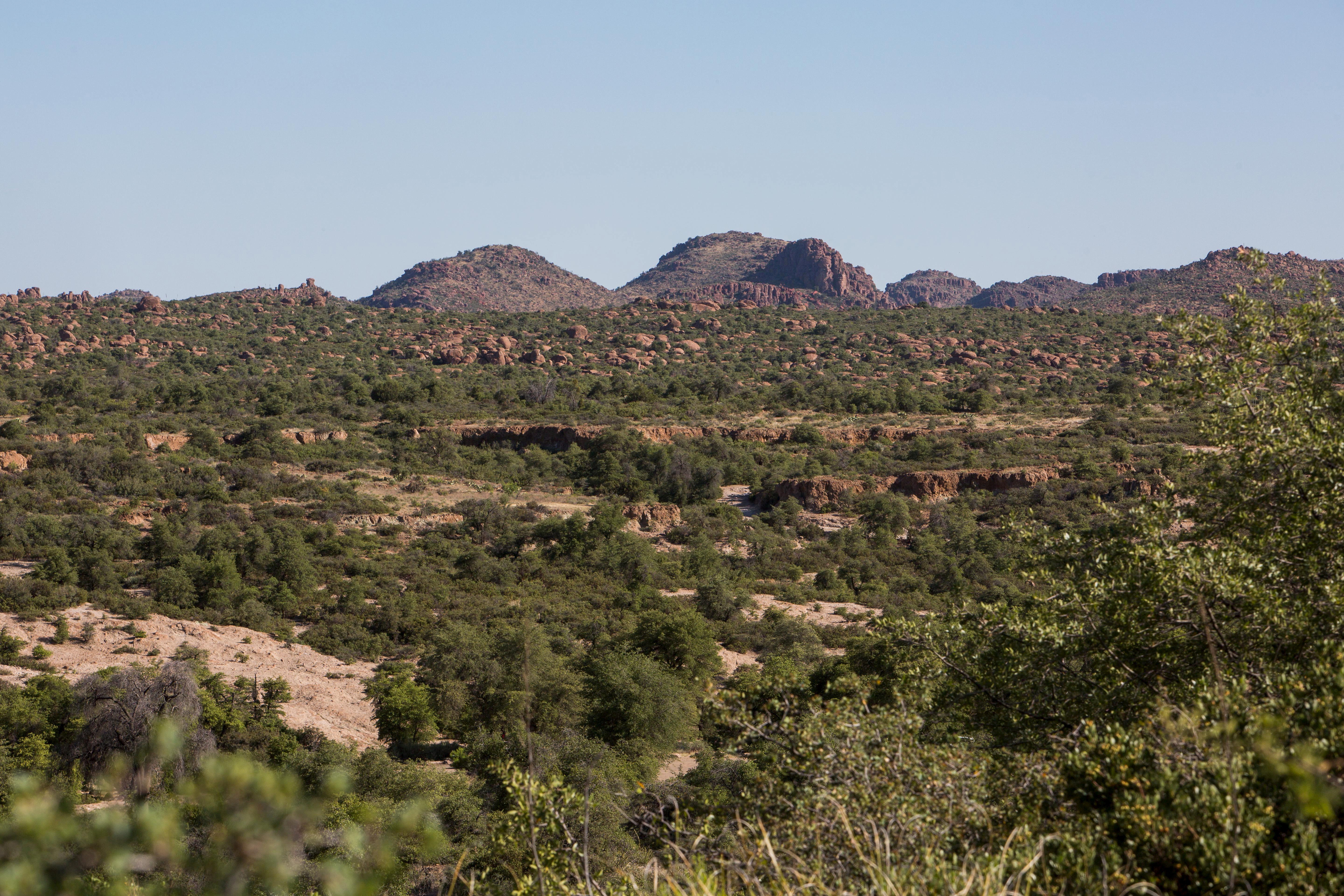 A view of the planned block cave mine in the Tonto National Forest near Superior, Arizona, on May 30, 2015 [File: Deanna Dent/Reuters]