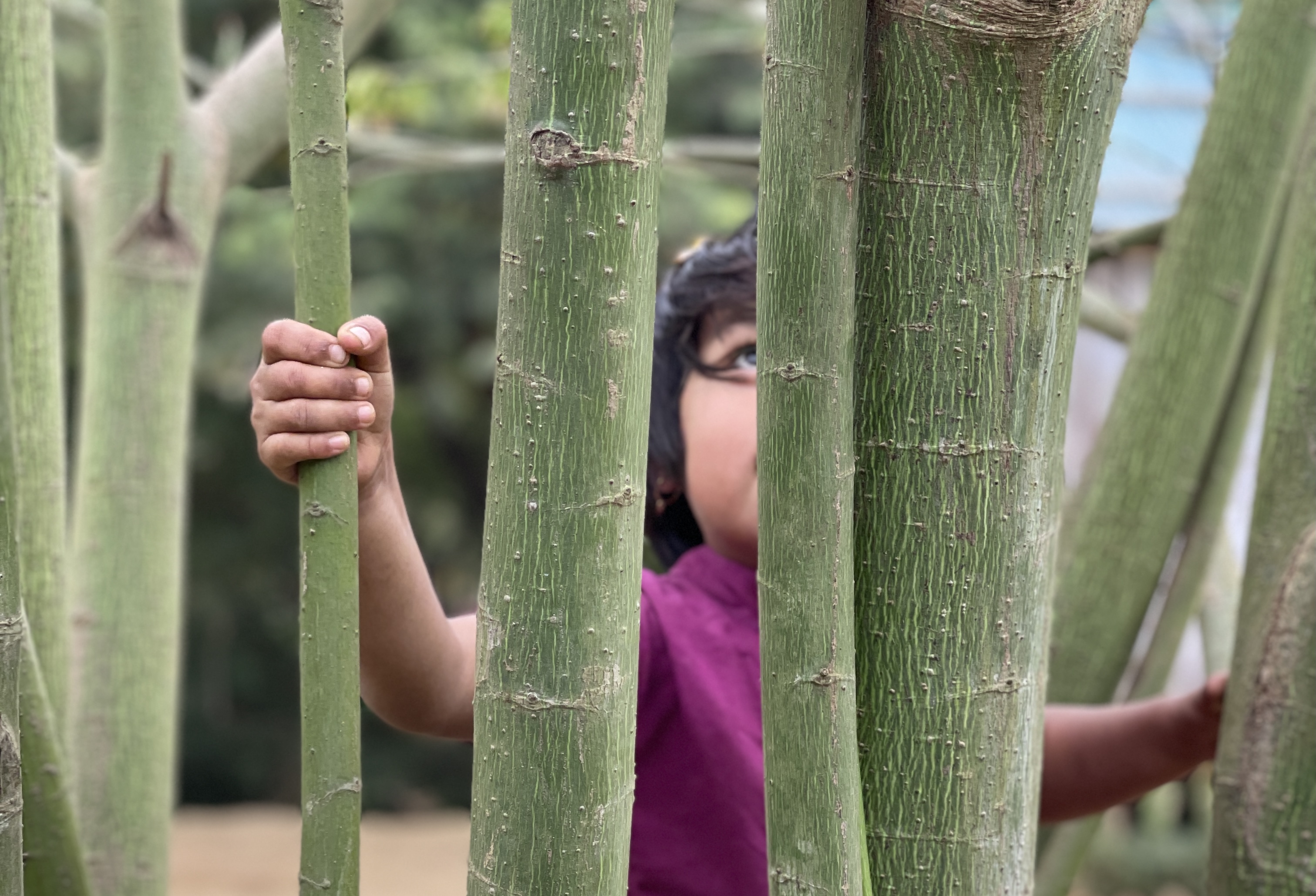 indigenous identity in Bangladesh