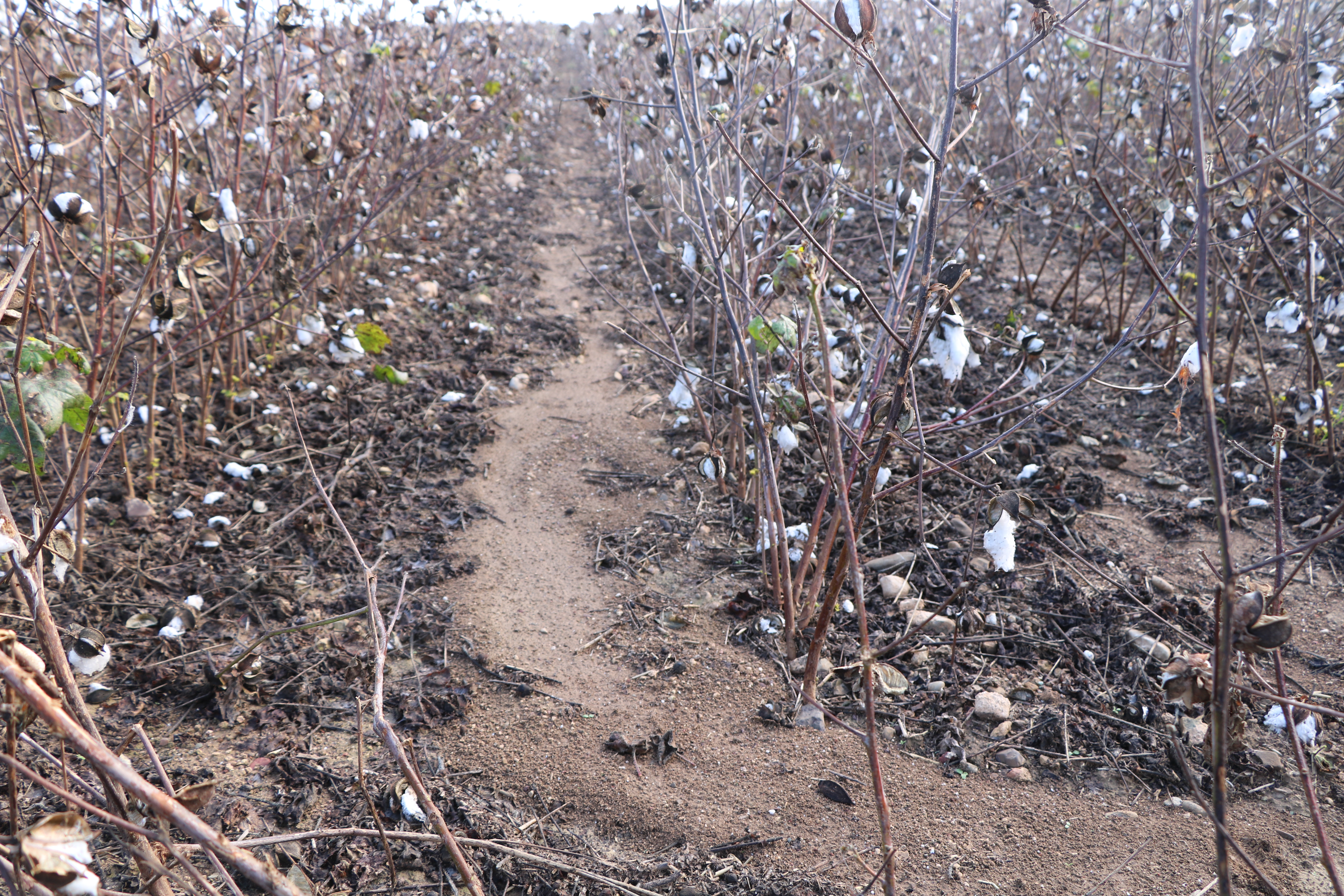 Greece - Please do not use