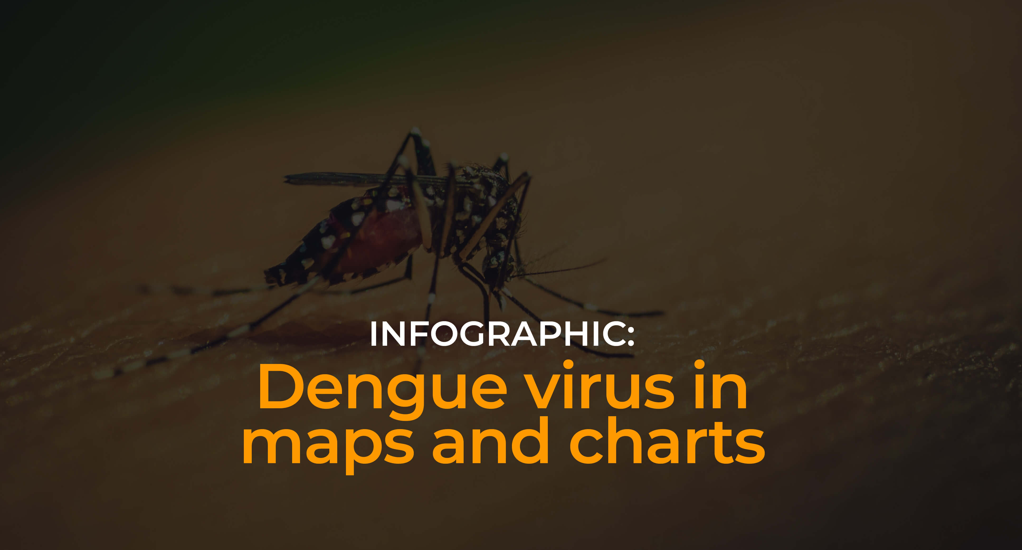 Outside image of the article, it shows a dengue infected mosquito