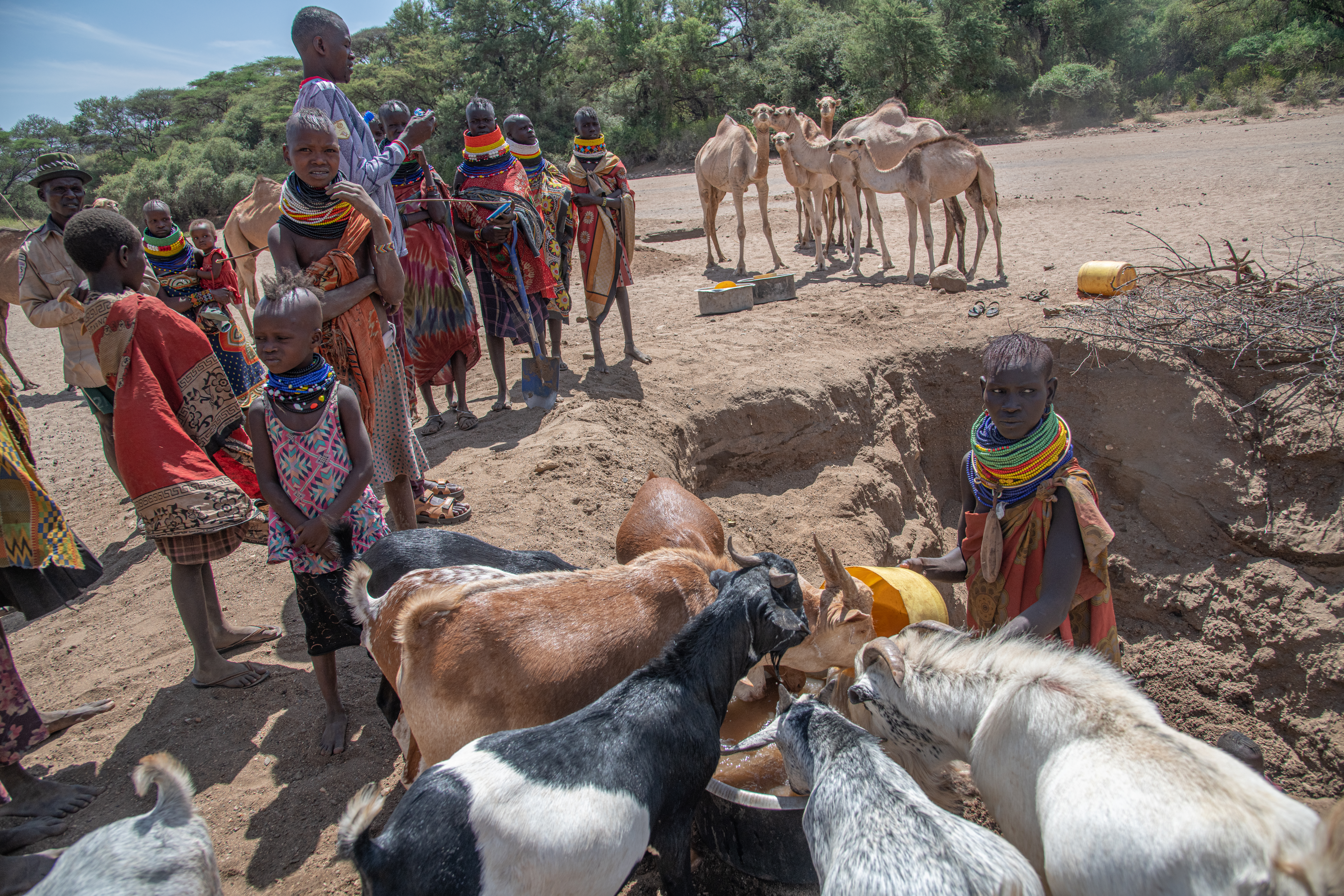 At the watering hole in Turkana, loreng near Uganda