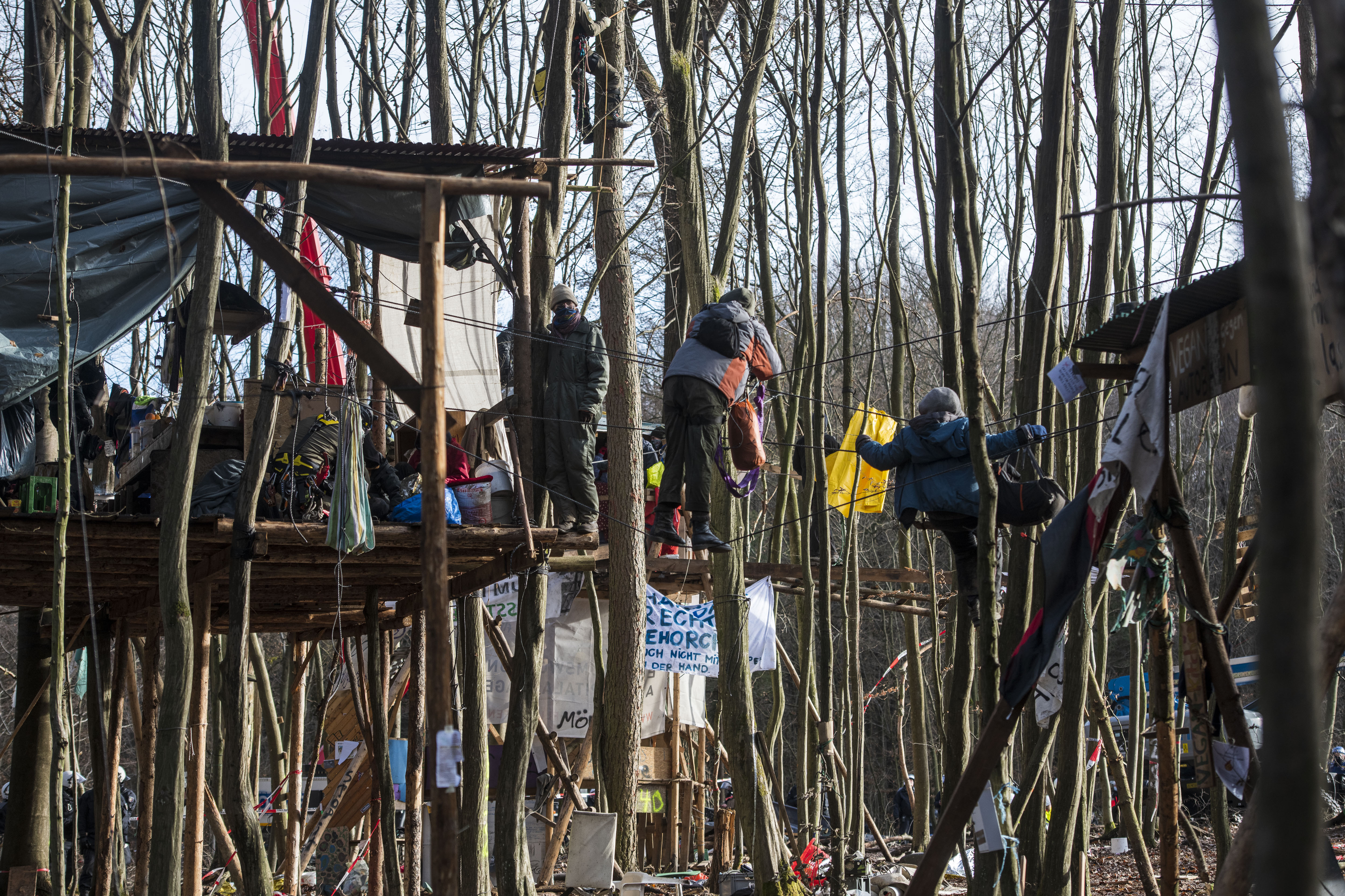 In 2020, activists in Dannenröder forest took up positions in a network of treehouses to protest against deforestation and the construction of the A49 highway [File: Thomas Lohnes/Getty Images]