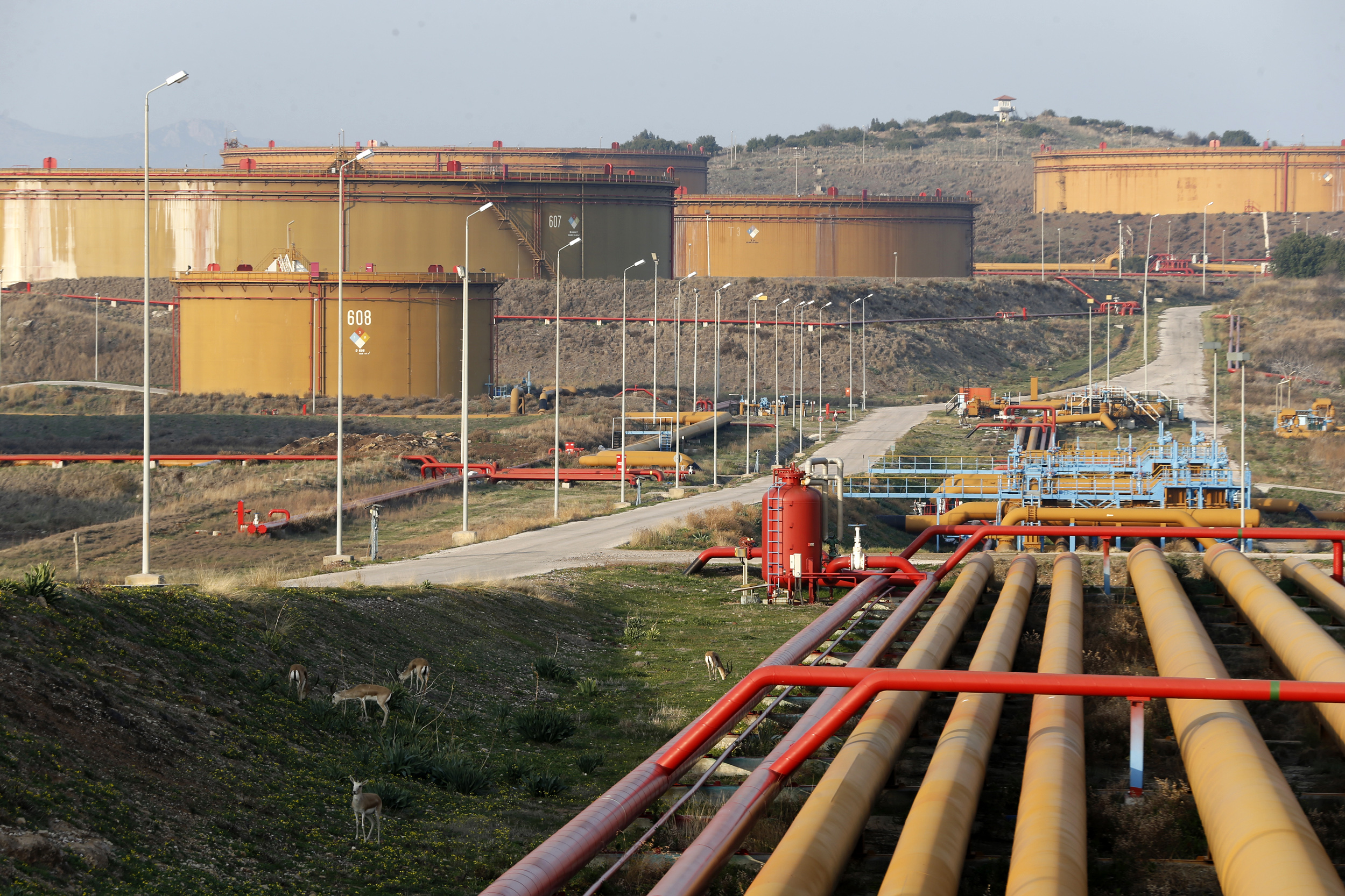A general view of oil tanks at Turkey's Mediterranean port of Ceyhan