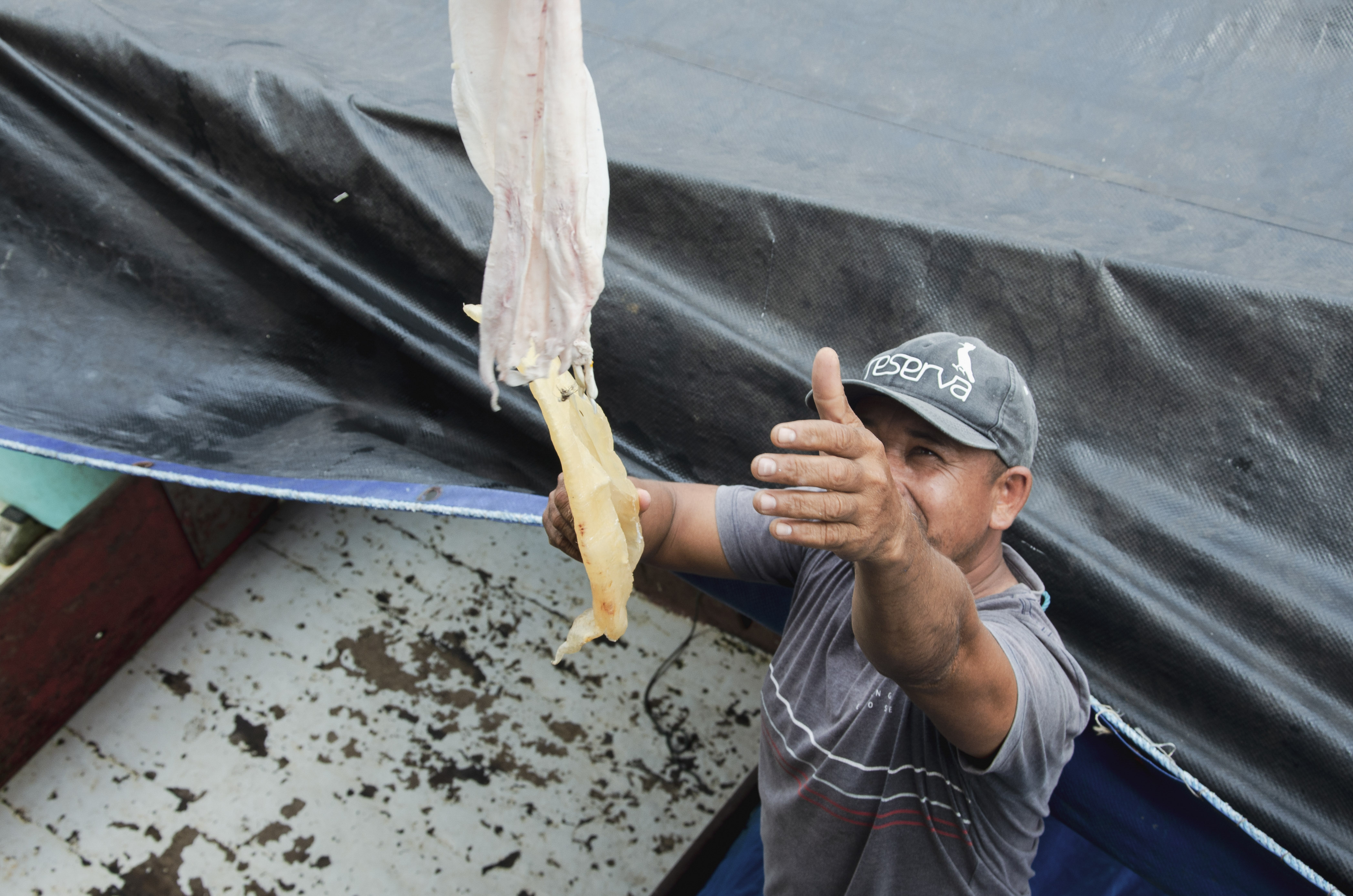 A man wearing a cap on a boat goes to take down dried maw
