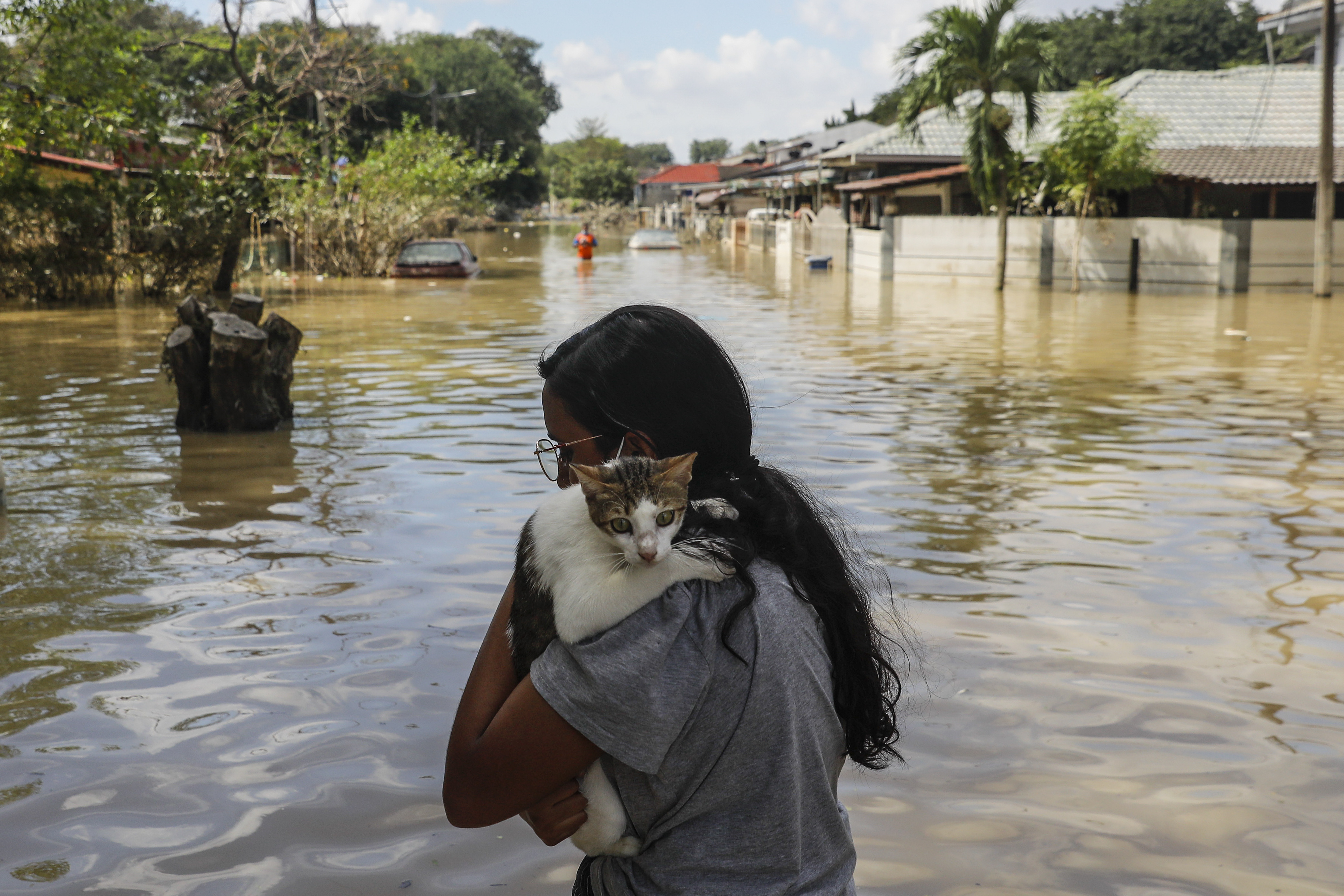 A woman carried her tortoiseshell cat on her shoulder as she wades through milky brown floodwaters in the Malaysian city of Shah Alam