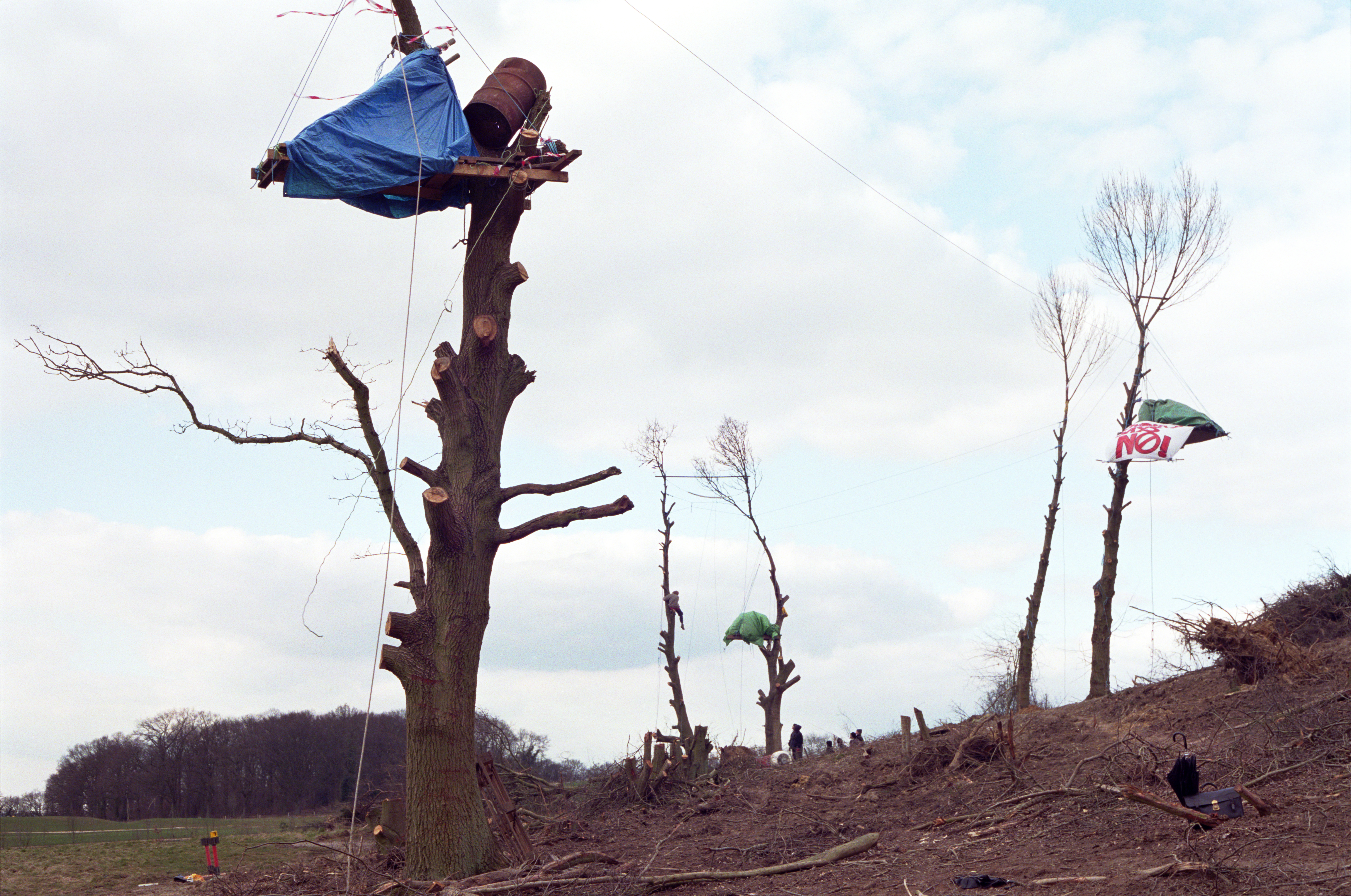 In Newbury in 1996 some trees remain before they are taken down