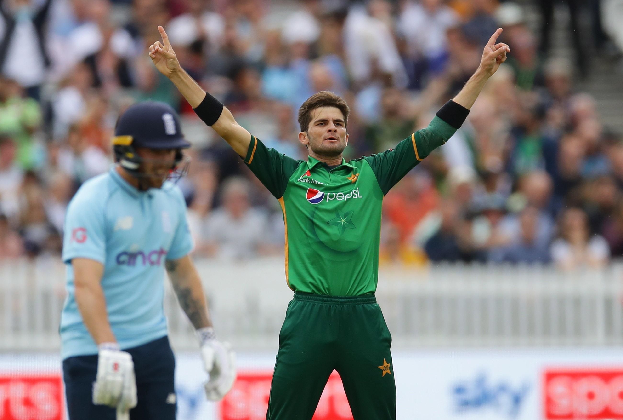 shaheen shah afridi celebrates