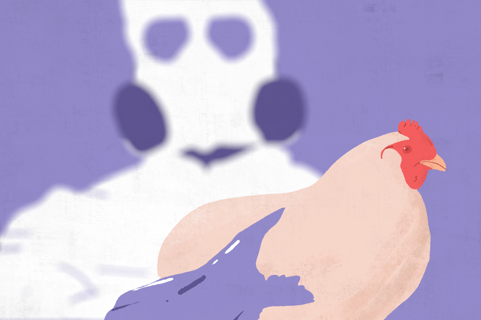 An illustration of a person in a hazmat suit and mask and gloves holding a chicken.