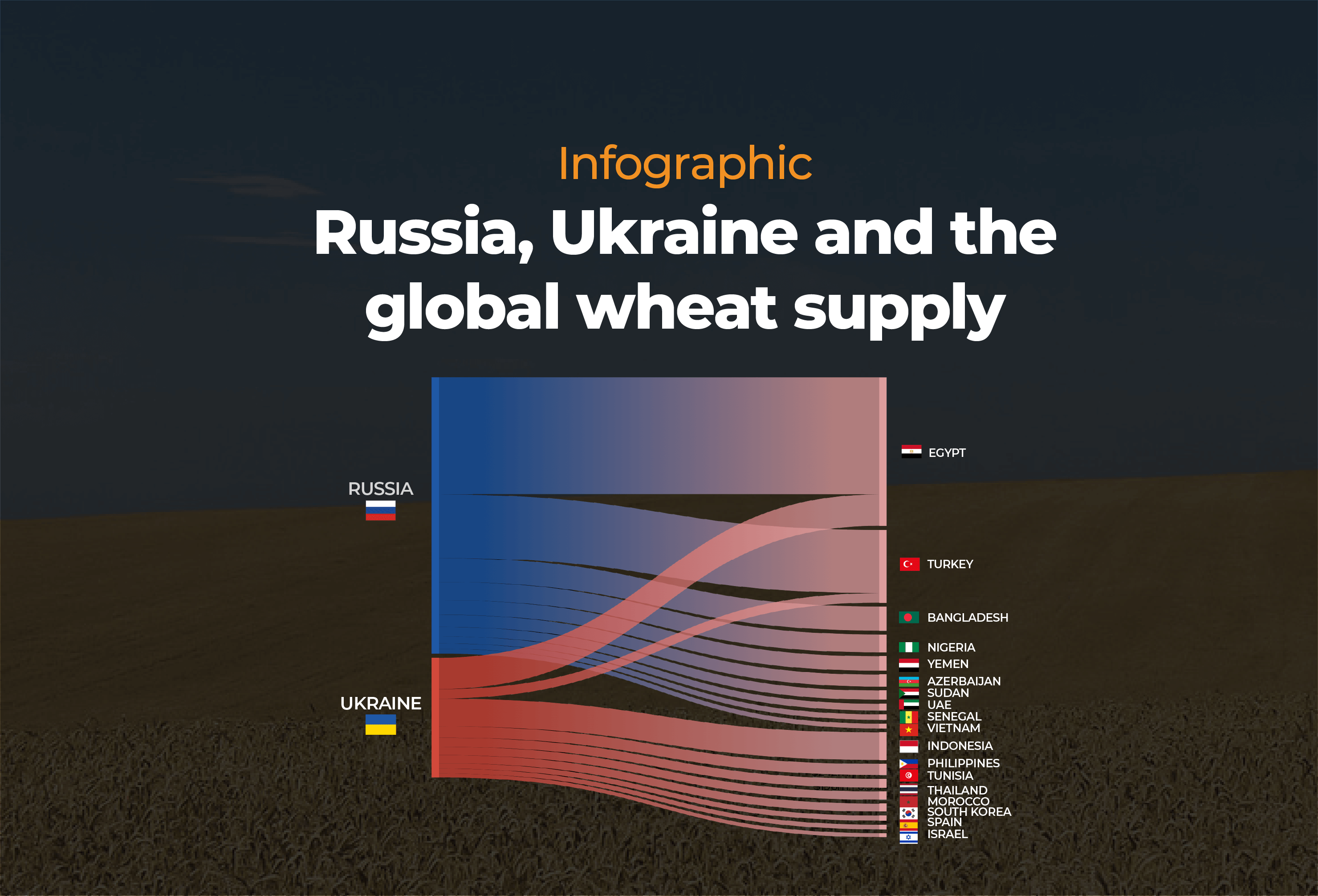 INTERACTIVE- Russia Ukraine and the global wheat supply