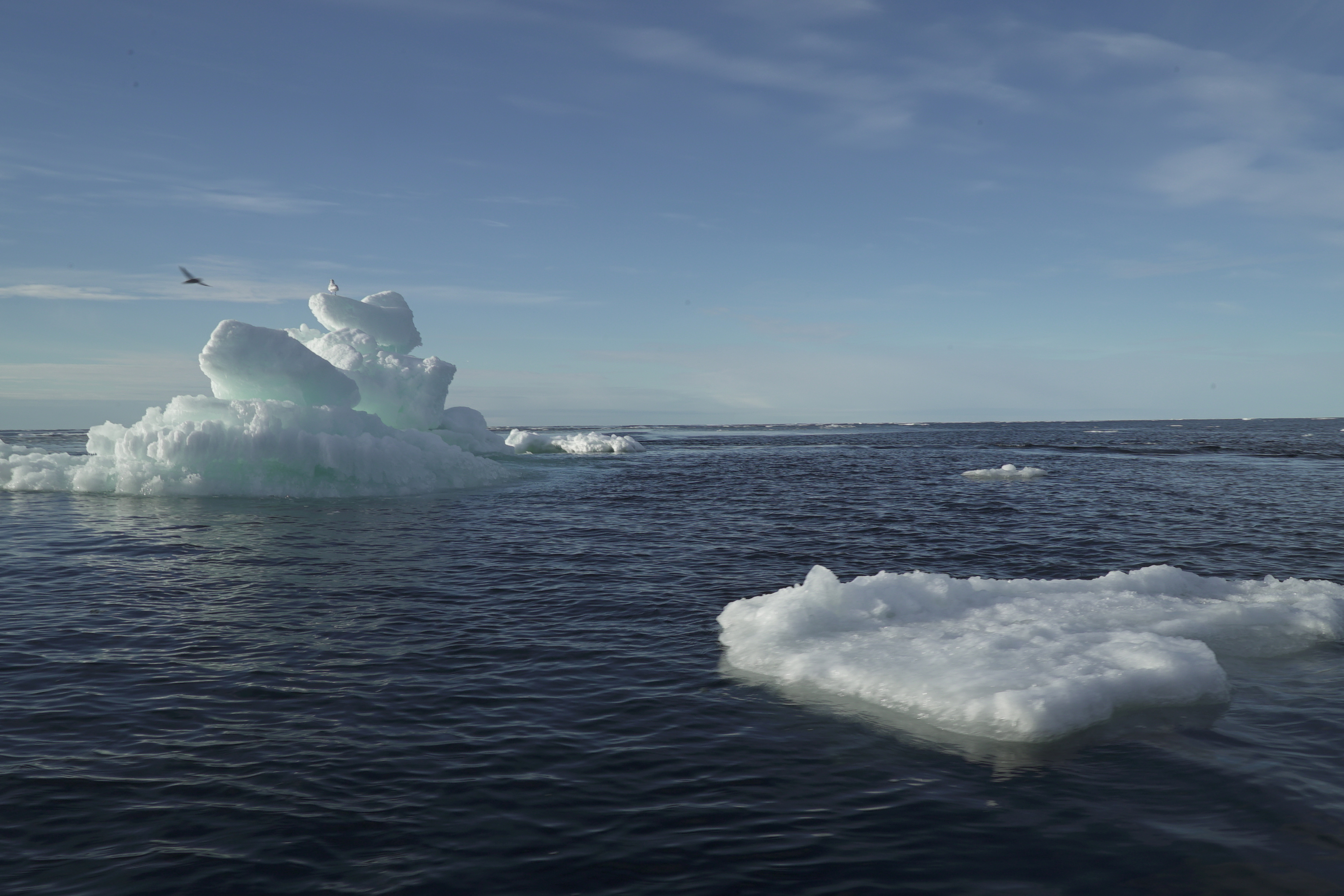 Floating ice is seen during the expedition of the The Greenpeace's Arctic Sunrise ship at the Arctic Ocean, September 14, 2020. 