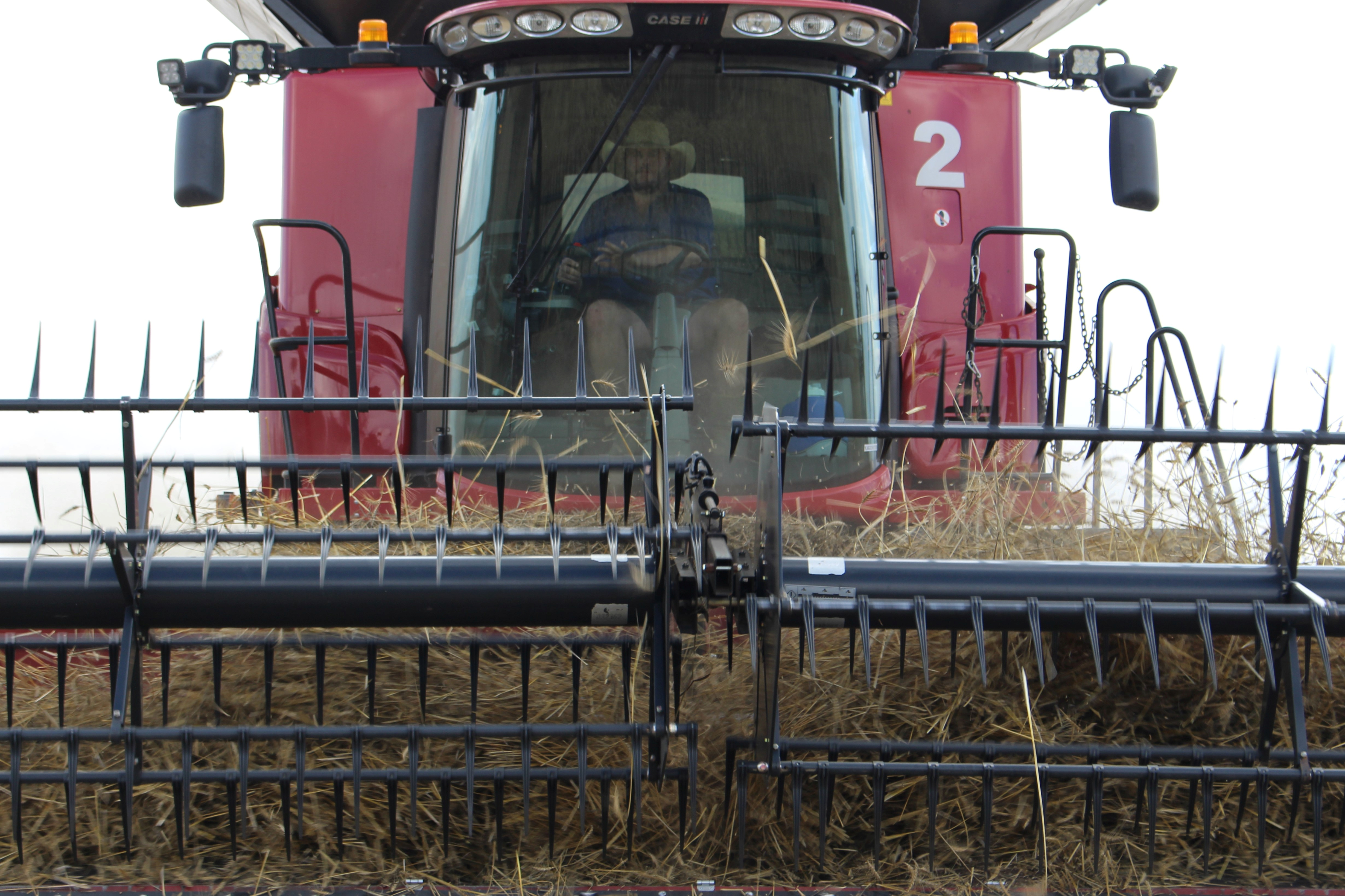 combine harvester in australia