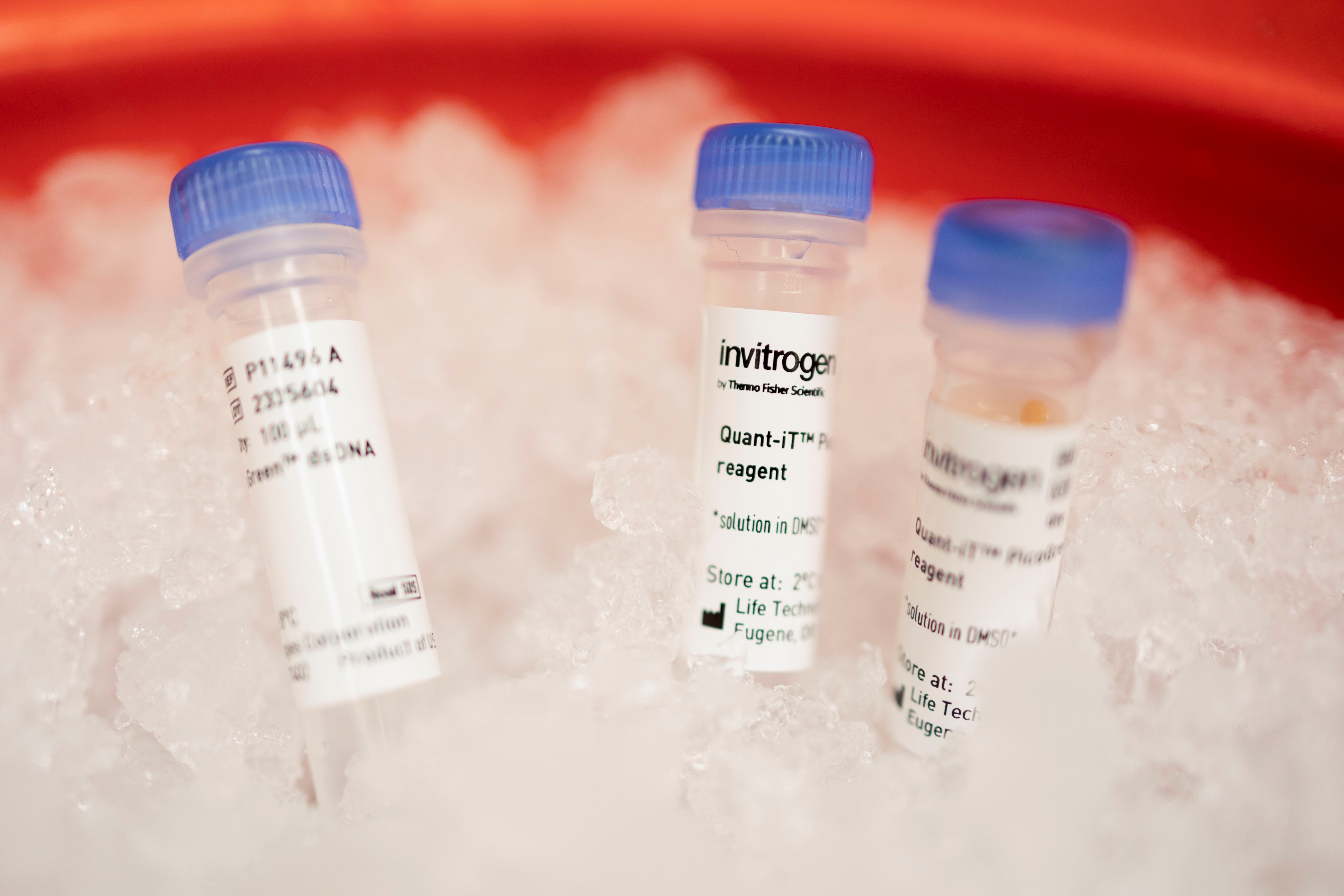 Chemicals that measure the amount of SARS-CoV-2 DNA before sequencing are pictured at the Penn Center for Research on Coronavirus and Other Emerging Pathogens at the University of Pennsylvania’s Perelman School of Medicine in Philadelphia, Pennsylvania, U.S., December 16, 2021.