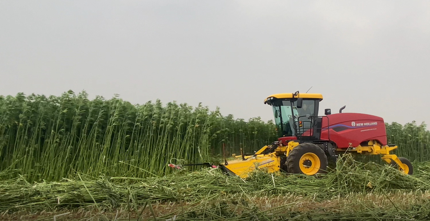 Tractor harvesting hemp