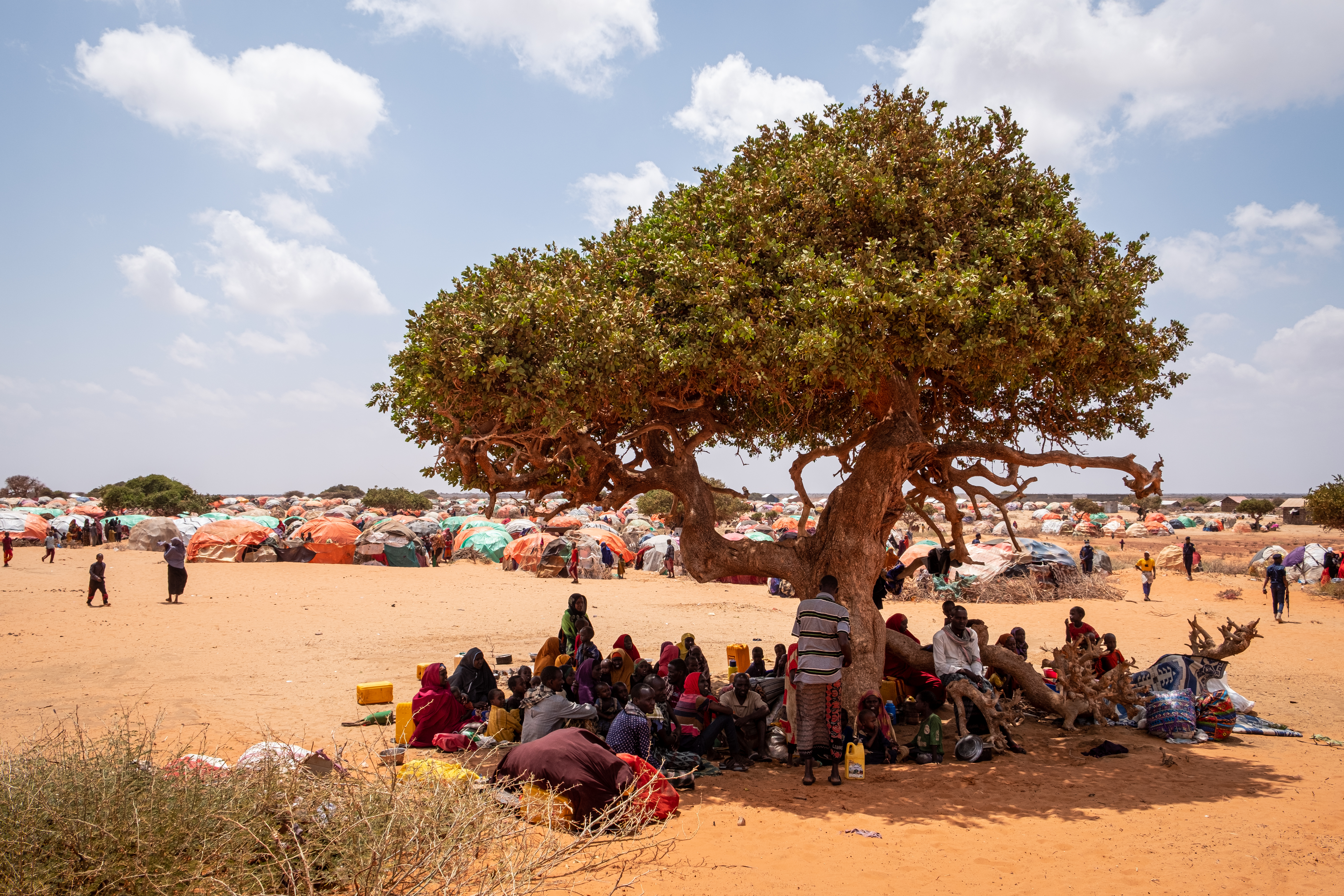 New arrivals wait before they receive food