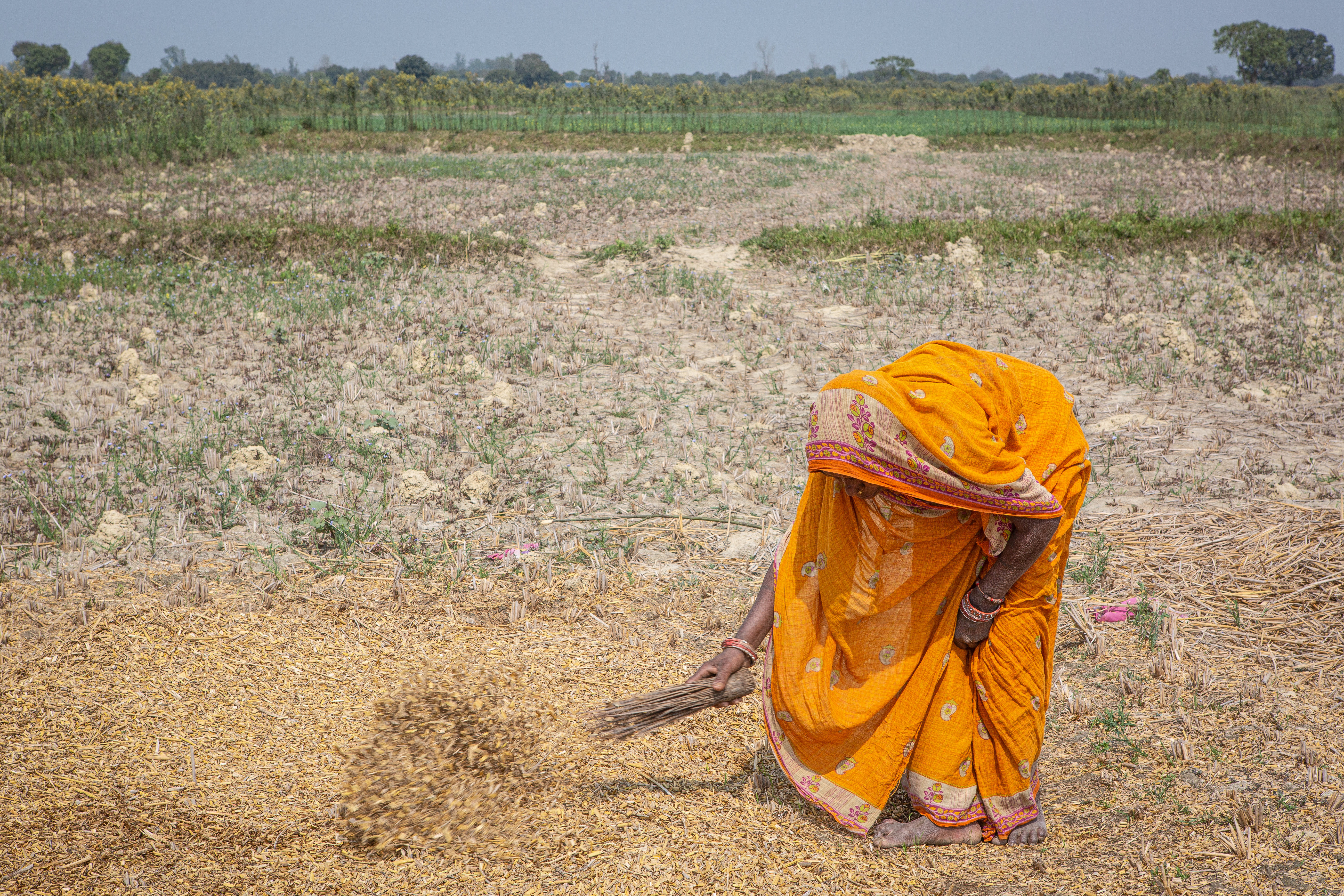 Nepali female farmer